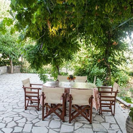 Villa Ilias Pinakokhorion Екстер'єр фото
