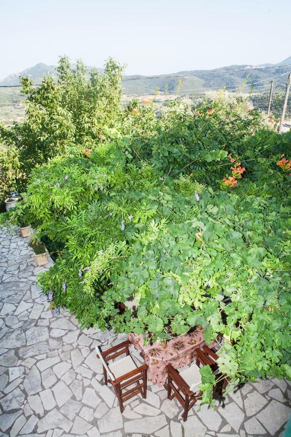 Villa Ilias Pinakokhorion Екстер'єр фото