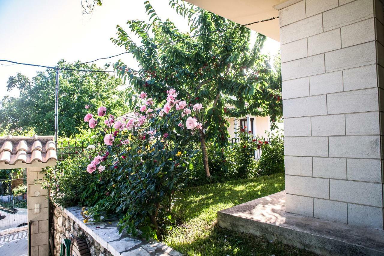 Villa Ilias Pinakokhorion Екстер'єр фото